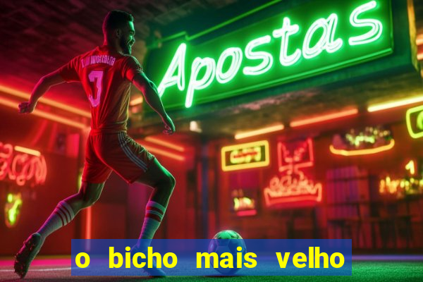 o bicho mais velho da loteria dos sonhos